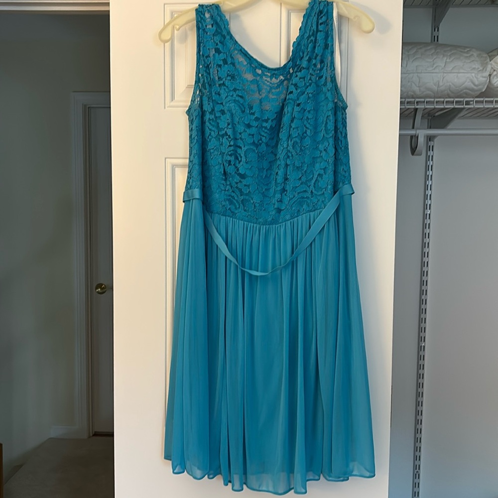Casual or fancy Sleeveless, fully lined with back zipper, lace mesh dress